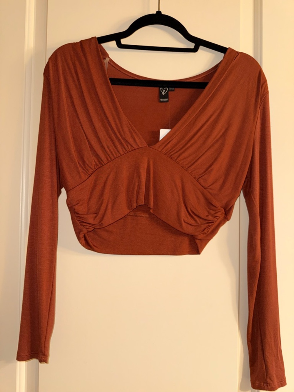 Windsor Rust Cropped V-Neck Long Sleeve Top